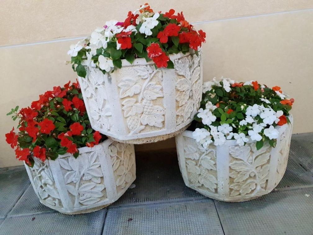 Анси Pomorie Kültér fotó
